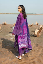 Load image into Gallery viewer, B - ALLIUM