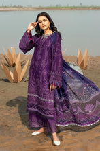 Load image into Gallery viewer, B - ALLIUM