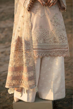 Load image into Gallery viewer, B - CLEOME