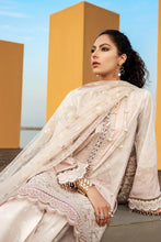 Load image into Gallery viewer, B - CLEOME