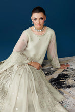 Load image into Gallery viewer, A - ZEBA