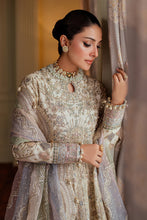 Load image into Gallery viewer, 0B - EMBROIDERED NET CH13-06 (FROCK STYLE)