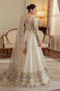 0B - EMBROIDERED NET CH13-06 (FROCK STYLE)
