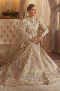 0B - EMBROIDERED NET CH13-06 (FROCK STYLE)