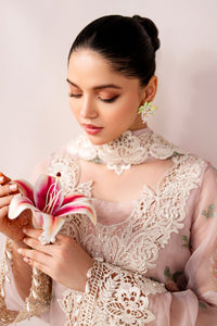 B - EMBROIDERED CHIFFON UF 4189