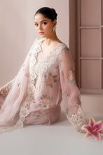 Load image into Gallery viewer, B - EMBROIDERED CHIFFON UF 4189