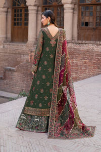 IZ - 01 (LONG SHIRT WITH SHARARA)