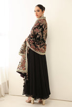 Load image into Gallery viewer, B - EMBROIDERED CHIFFON PR 1161