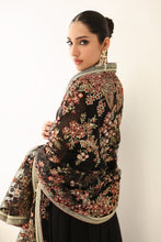 Load image into Gallery viewer, B - EMBROIDERED CHIFFON PR 1161