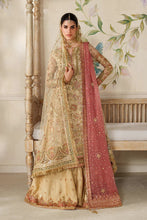 Load image into Gallery viewer, B - CH14-02 (LONG SHIRT &amp; SHARARA)