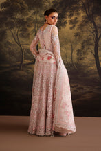 Load image into Gallery viewer, B - EMBROIDERED NET UF-4380