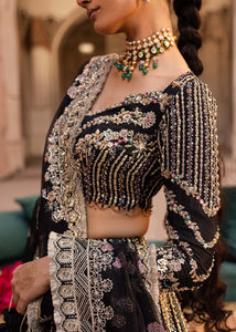AA - NEHAAB