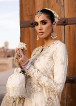 Load image into Gallery viewer, AA - ROSHANEH