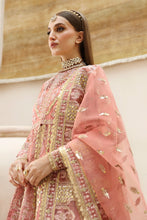 Load image into Gallery viewer, AF - SHAHPARA