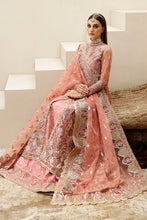 Load image into Gallery viewer, AF - SHAHPARA