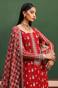 AF - NISHAT