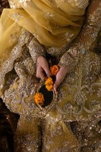 Load image into Gallery viewer, AA - ROSHANARA