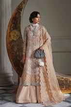 Load image into Gallery viewer, AA - AABROZA