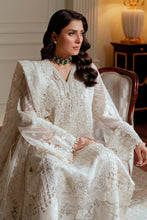Load image into Gallery viewer, B - EMBROIDERED NET CH13-02 (LONG STYLE)