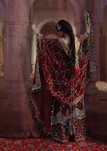 Load image into Gallery viewer, HR - ASPARA
