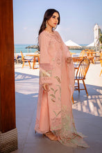 Load image into Gallery viewer, RR - BAREEHA