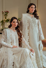 Load image into Gallery viewer, B - EMBROIDERED NET CH13-02 (LONG STYLE)