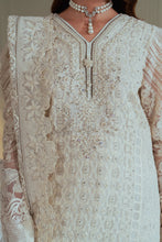 Load image into Gallery viewer, B - EMBROIDERED NET CH13-02 (SHORT STYLE)