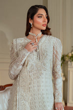 Load image into Gallery viewer, B - EMBROIDERED NET CH13-02 (SHORT STYLE)