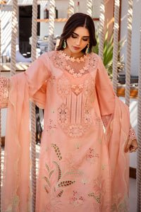 RR - BAREEHA