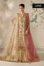 Load image into Gallery viewer, B - CH14-02 (LONG SHIRT &amp; SHARARA)