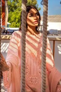 RR - BAREEHA
