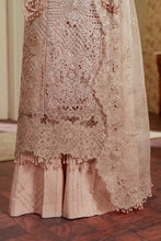 Load image into Gallery viewer, B - EMBROIDERED NET CH13-04