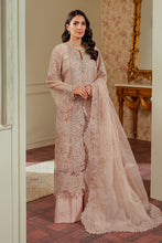 Load image into Gallery viewer, B - EMBROIDERED NET CH13-04