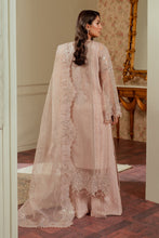 Load image into Gallery viewer, B - EMBROIDERED NET CH13-04