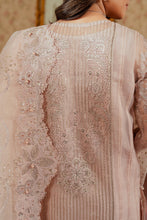 Load image into Gallery viewer, B - EMBROIDERED NET CH13-04
