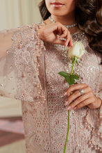 Load image into Gallery viewer, B - EMBROIDERED NET CH13-04