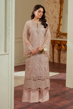 Load image into Gallery viewer, B - EMBROIDERED NET CH13-04