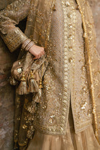 Load image into Gallery viewer, MNR - ROSHNI