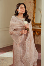Load image into Gallery viewer, B - EMBROIDERED NET CH13-04