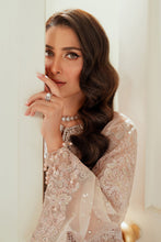 Load image into Gallery viewer, B - EMBROIDERED NET CH13-04