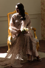 Load image into Gallery viewer, B - EMBROIDERED NET CH13-04
