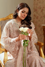 Load image into Gallery viewer, B - EMBROIDERED NET CH13-04