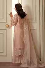 Load image into Gallery viewer, B - EMBROIDERED NET CH13-04