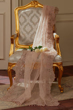 Load image into Gallery viewer, B - EMBROIDERED NET CH13-04
