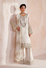 Load image into Gallery viewer, AZ - ZEBA