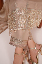 Load image into Gallery viewer, AZ - COVE