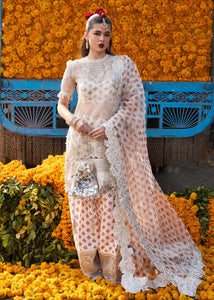 HR - ZAREEN