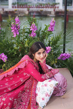 Load image into Gallery viewer, I - 259 RANG-E-HUSN