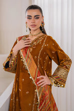 Load image into Gallery viewer, B - EMBROIDERED VELVET UF-761