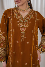 Load image into Gallery viewer, B - EMBROIDERED VELVET UF-761